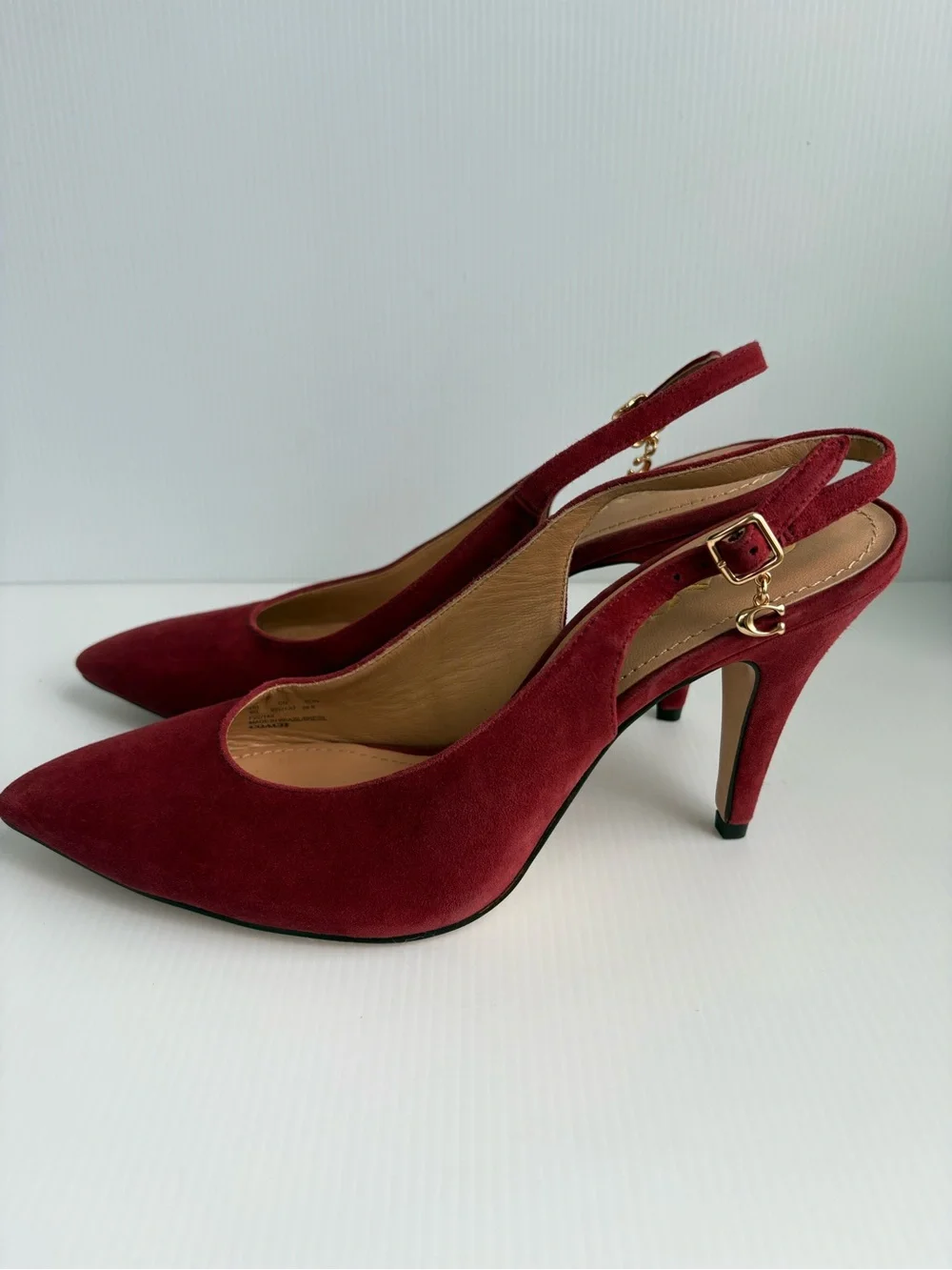 Coach size raspberry